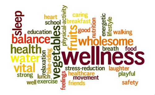 wellness connection