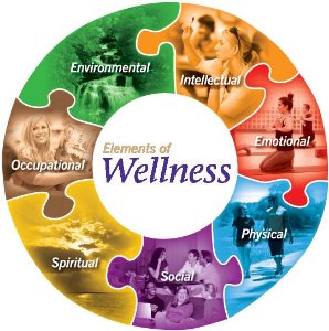 elements of wellness