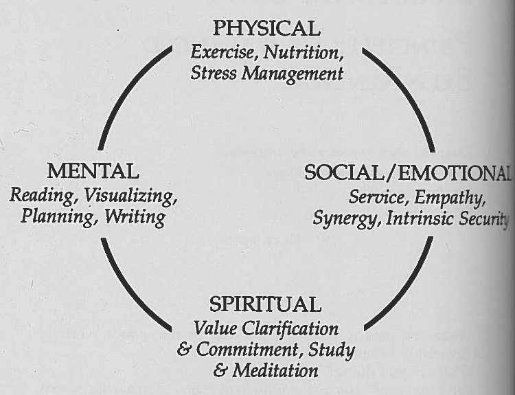 physical, mental, social, spiritual