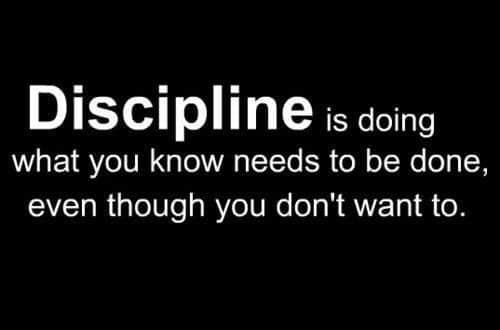 Discipline