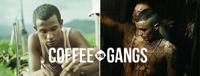 Image of Kenco Coffee vs Gang initiative