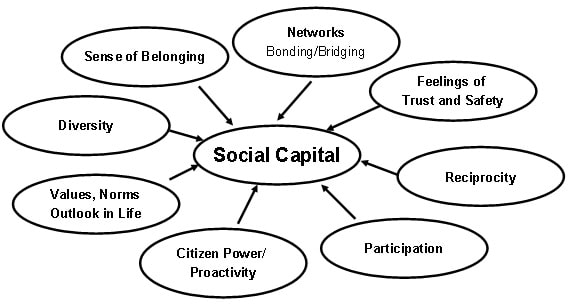 Social capital theory 2016