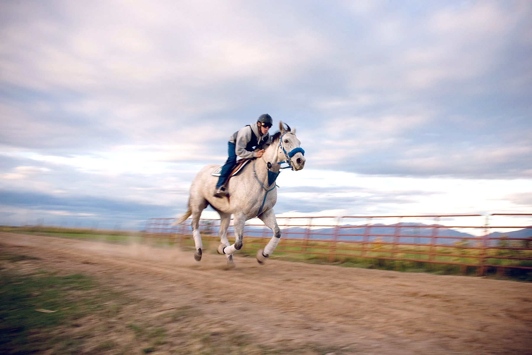 Photo of a man riding a white horse at a fast pace, developing grit.