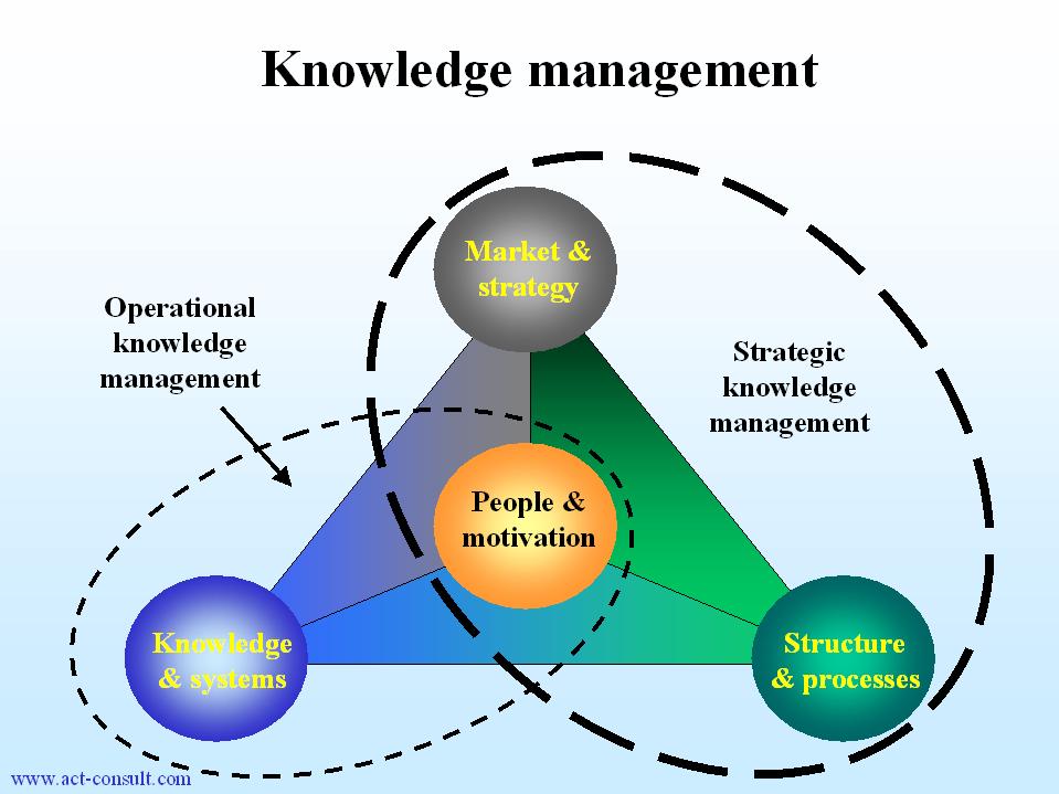 Knowledge management system