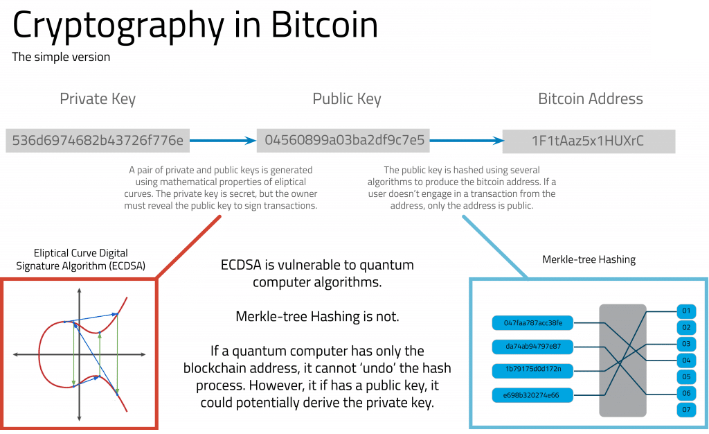 Cryptography in Bitcoin and the quantum computing threat