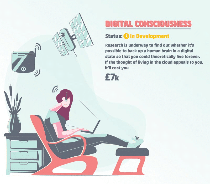Digital consciousness