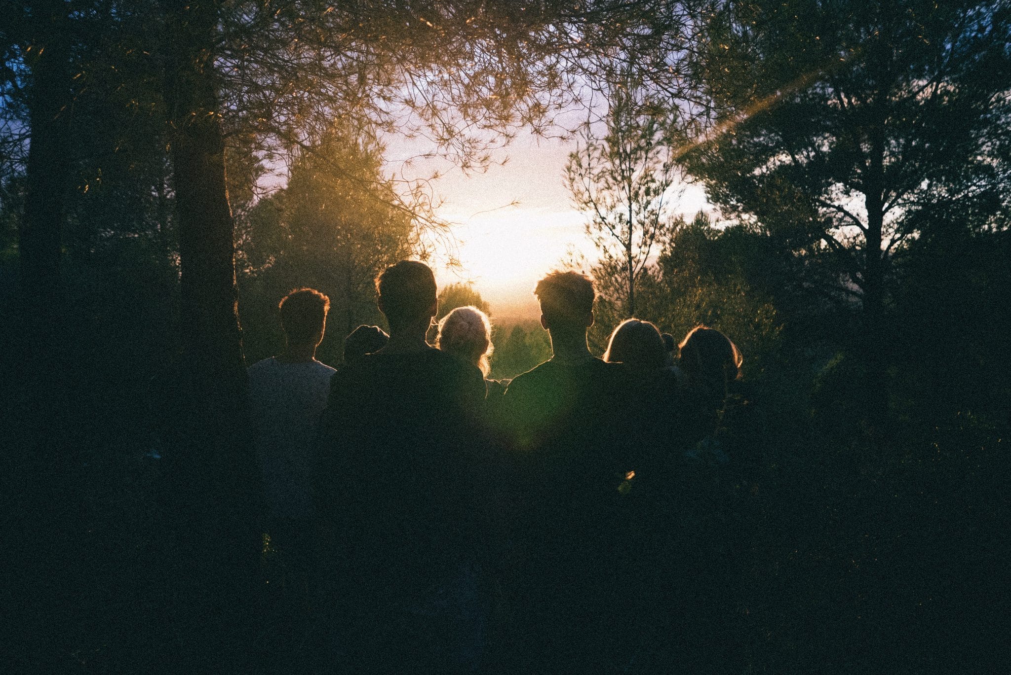 A community of people watching an awe-inspiring sunset together from a forest.