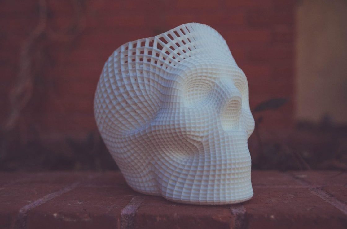 3d printed skull