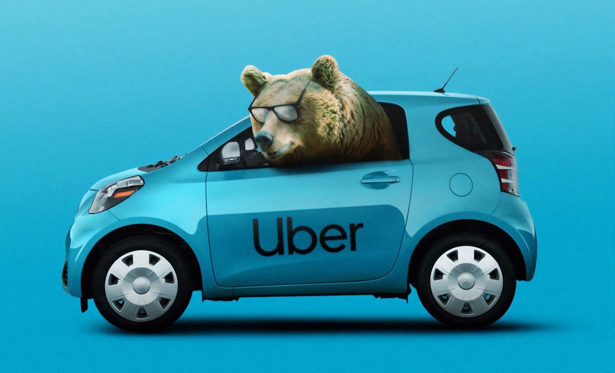 Animated drawing of a bear driving a blue Uber car.