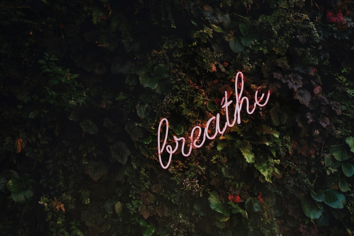 Breathe (bushy wall art)